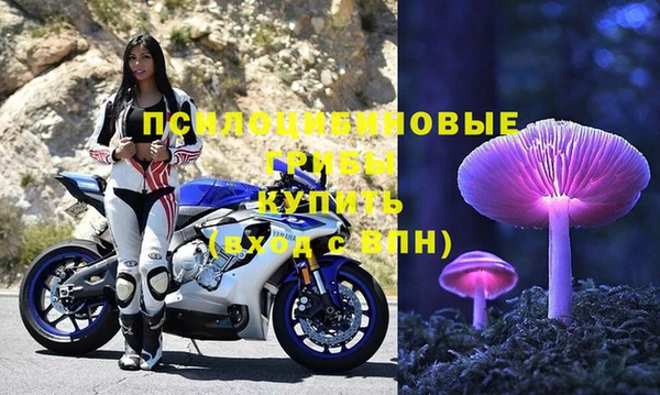 молекула духа Балахна