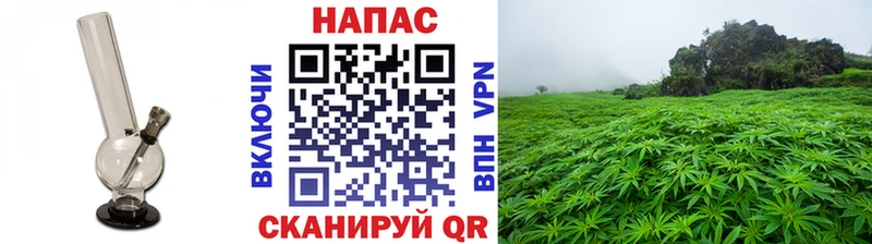 Канабис конопля  наркота  Сысерть 